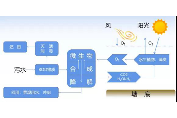 1644821557745749.jpg 7.jpg